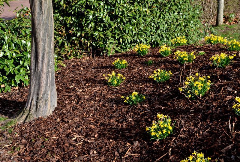 Mulching and Bed Maintenance