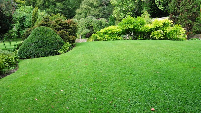 Lush Green Lawn