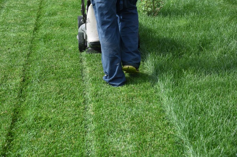Lot Mowing in Bowie, MD