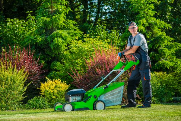 Lawn And Yard Service
