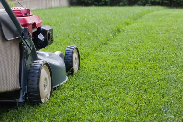 Lawn And Yard Care