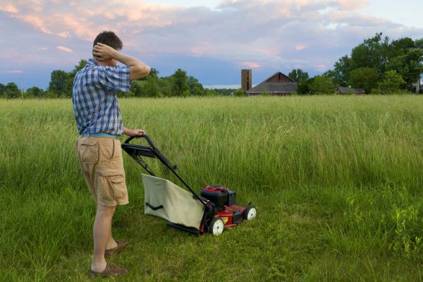 Overgrown Yard Service